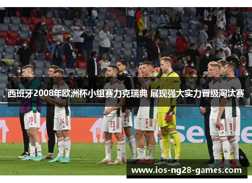 西班牙2008年欧洲杯小组赛力克瑞典 展现强大实力晋级淘汰赛 西班牙2008年欧洲杯小组赛力克瑞典 展现强大实力晋级淘汰赛